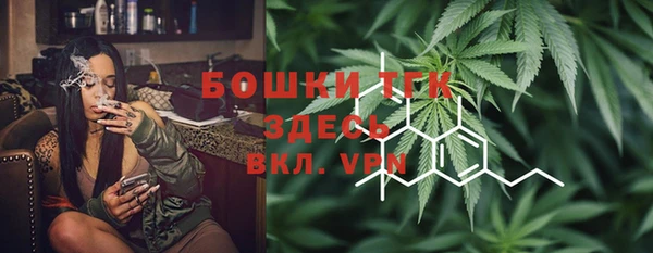 стаф Аркадак