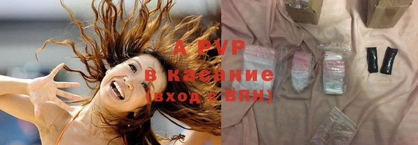 стаф Аркадак