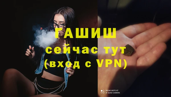 стаф Аркадак