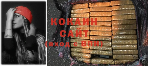 стаф Аркадак