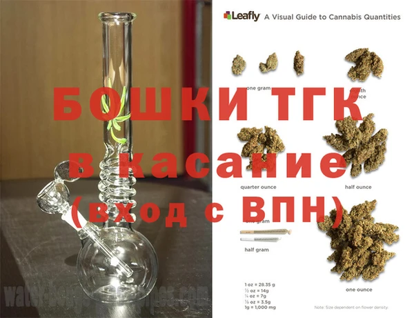 стаф Аркадак