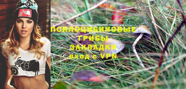 стаф Аркадак